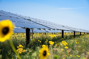 ¿Un sistema solar de 5kW hará funcionar una casa?